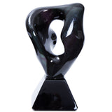 Obsidiana Estelar - Stellar Obsidian - Mexican folk Art - Cactus Fine Art
