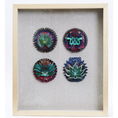 Seal's - Paper & Cartoon - Mexican Folk Art - Cactus Fine Art