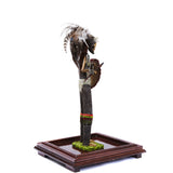 Emperador Ahuizotl - Mexican Folk Art  Featherwork and Ceramics - Cactus Fine Art