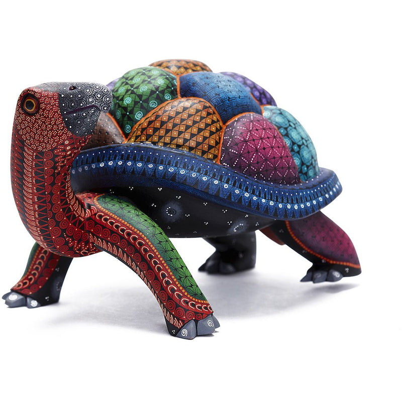 Tortuga Mágica - Magic Turtle  - Mexican Folk Art | Cactus Fine Art