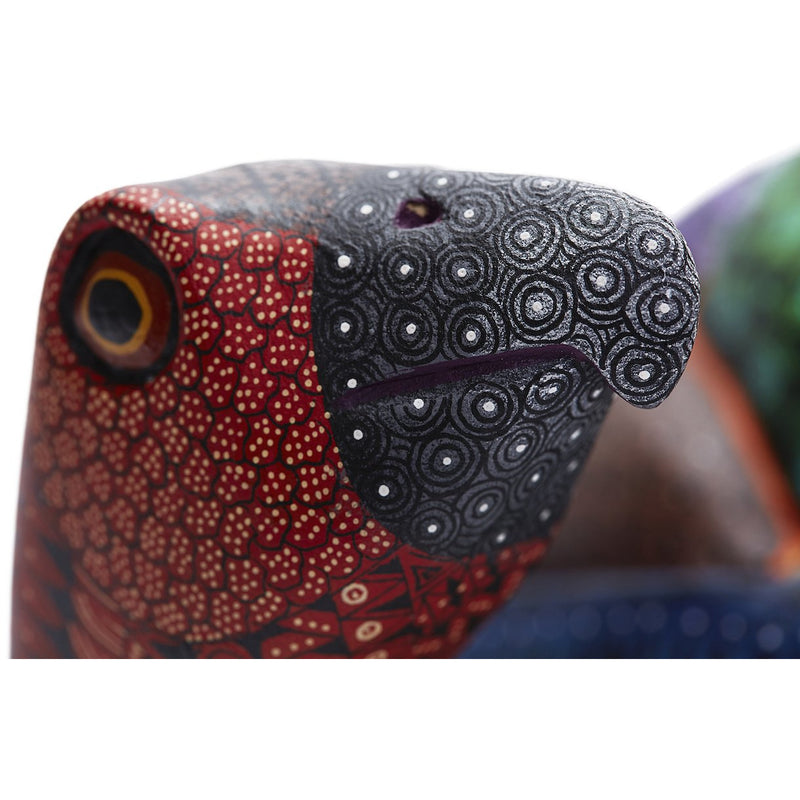Tortuga Mágica - Magic Turtle  - Mexican Folk Art | Cactus Fine Art