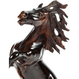 Caballo Tribu Seri / Woodcarving Mexican Folk Art Sculpture