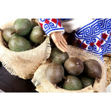 Aguacatero / Wax Sculpture Mexican Folk Art