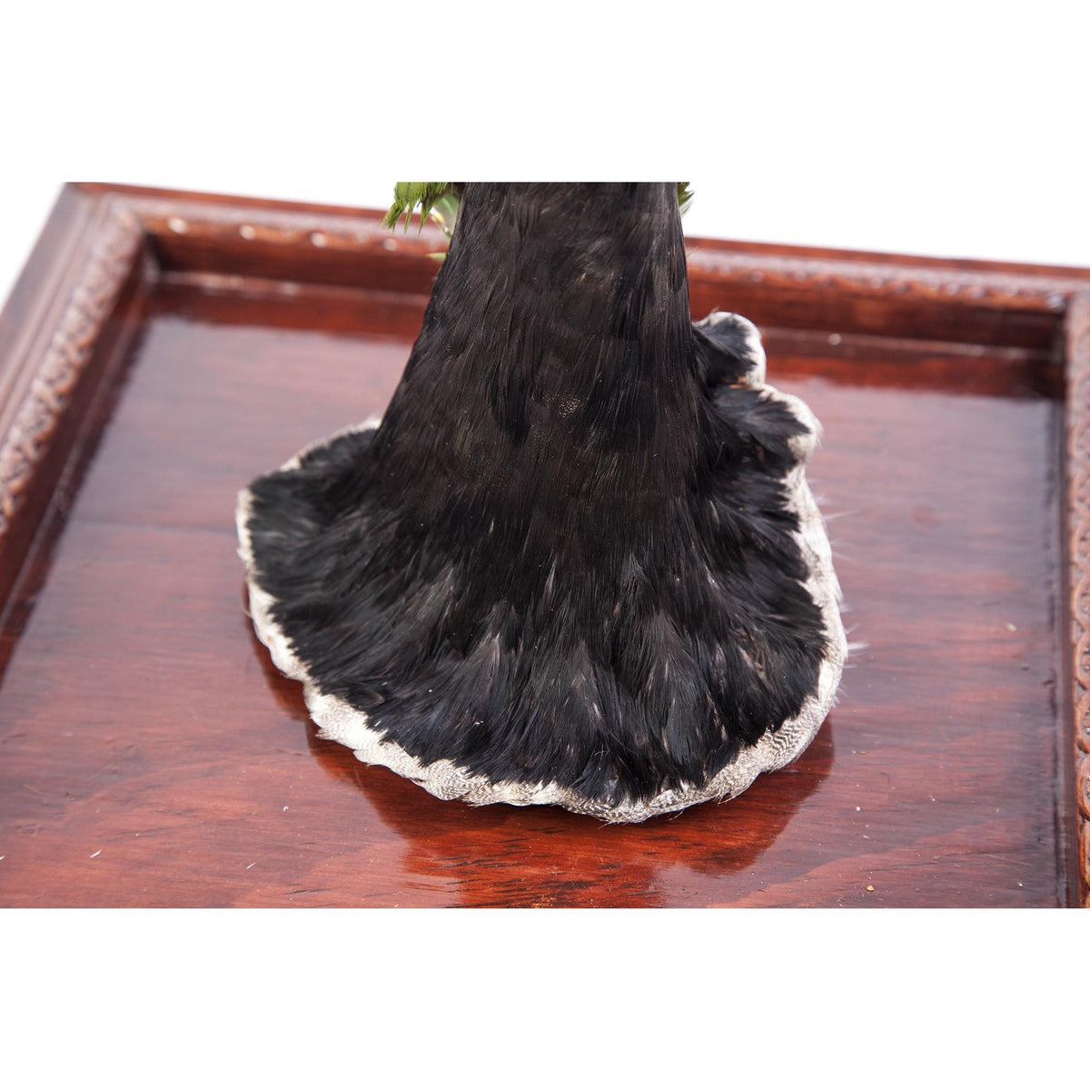 Catrina lista para la Fiesta / Mexican Folk Art Sculpture Featherwork and Ceramics