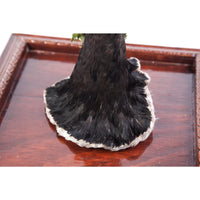 Catrina lista para la Fiesta / Mexican Folk Art Sculpture Featherwork and Ceramics