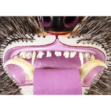 Mascara de Jabali / Woodcarving Lacquer Mexican Folk Art