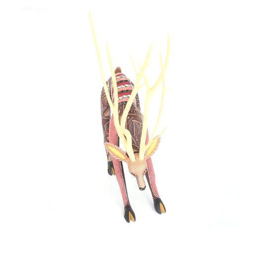 Venado